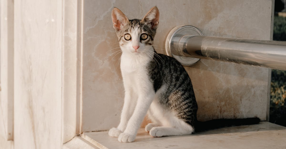 recevez des alertes en temps réel pour rester informé des dernières actualités, notifications importantes et mises à jour personnalisées selon vos préférences. ne manquez aucune information grâce à notre service d'alerts efficace et fiable.