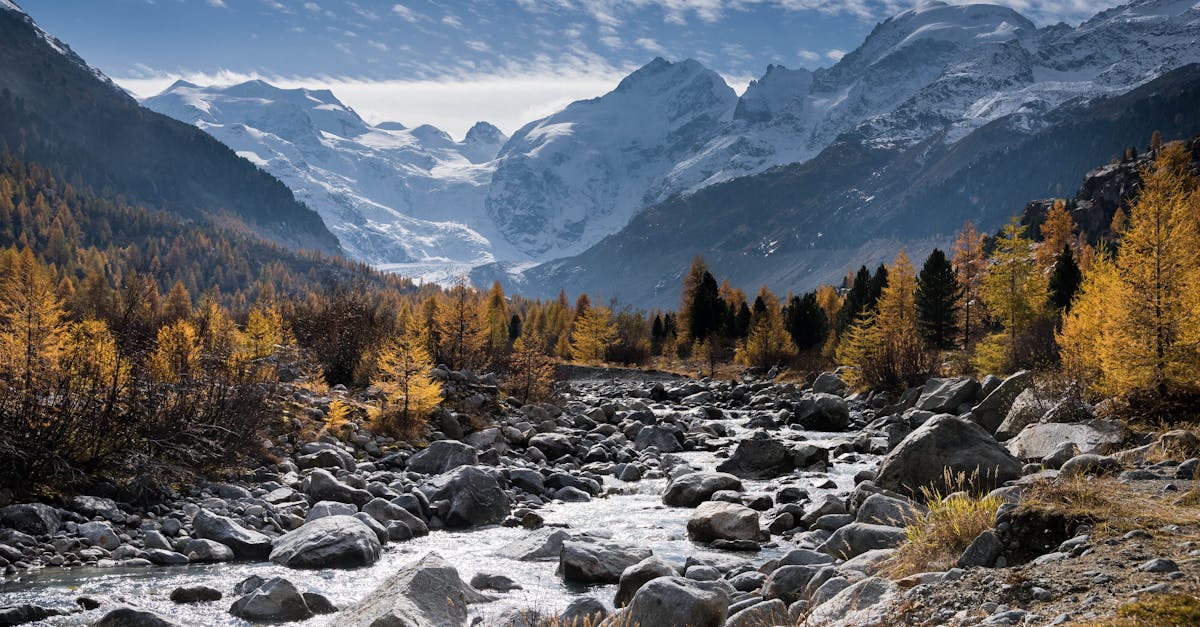 découvrez comment la transition vers la 5g révolutionne la connectivité, améliore la rapidité des réseaux mobiles et ouvre la voie à de nouvelles innovations technologiques.