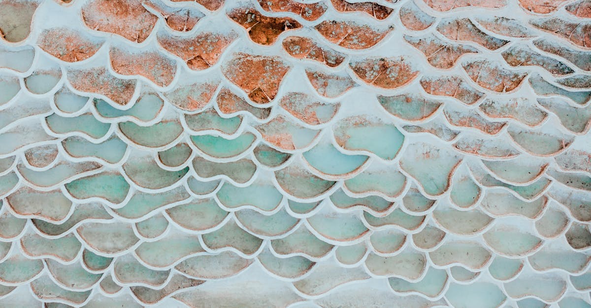 découvrez une large sélection de wallpapers tendance pour personnaliser votre écran. téléchargez des fonds d’écran gratuits en haute définition pour ordinateur, mobile et tablette.