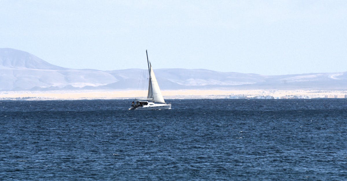 découvrez notre sélection de caméras thermiques performantes pour la détection des variations de température, l’inspection industrielle et la sécurité. solutions innovantes pour professionnels et particuliers.